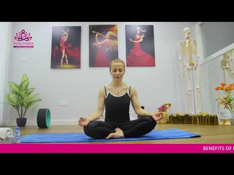 Voice Over Recording Session