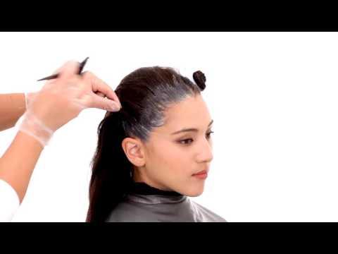 Software Guide Video